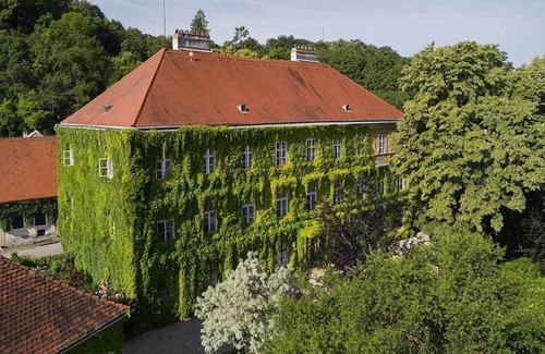Krems an der Donau Apartment | The galant yellow at Schloss Hollenburg