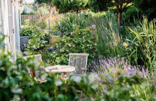 Camber Hotel | The Gallivant