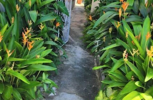 Miramar Apartment | The Garden Miramar 3 The best location ever