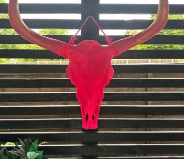 Arbury Apartment | The garden studio 85