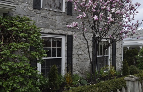 South End Apartment | The Garden Studio, nestled in Downtown Burlington