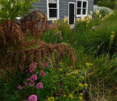 Branxholm Apartment | The Gardener's Cottage on Warrentinna