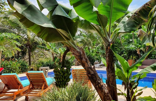 Atenas House | THE GEM OF ATENAS: EXQUISITE HOME on 18 acres of TROPICAL PARADISE