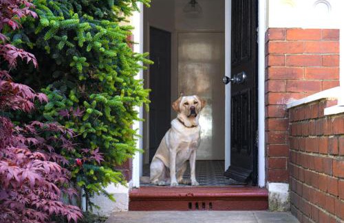 Whitley Bay Apartment | The George