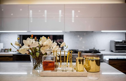 Hyde Park House | The Glass Haus I · Modern Luxury · River Oaks · Rooftop Terrace · Elevator