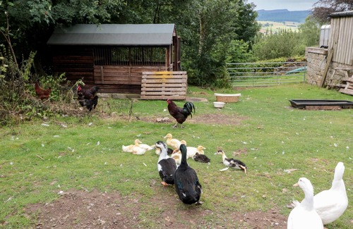 Rothbury Cottage | The Granary