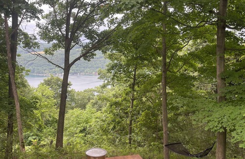 Hammondsport Cabin | THE GRAPE ESCAPE - OFF GRID CABIN - Wine Trail & Lake View - Pet Friendly!n