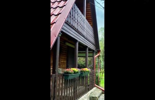 Recea House | The Great Escape