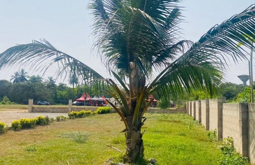 Elmina House | The Green Condo