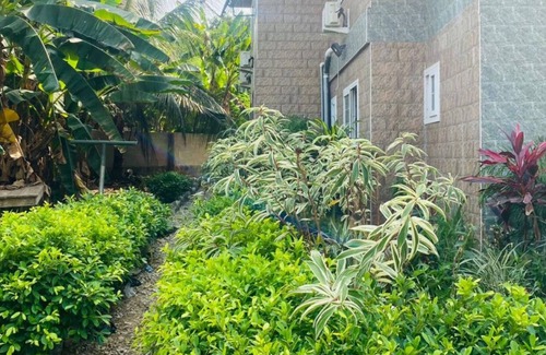 Elmina House | The Green Condo