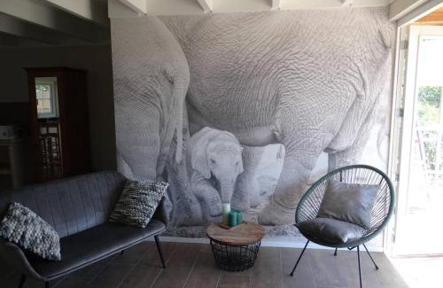 Ruinen House | The Green Cottage
