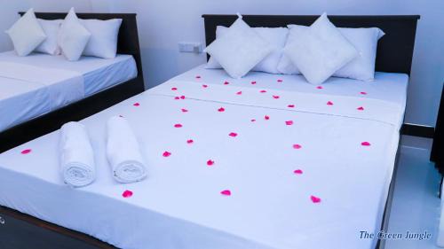 Dambulla House | The Green Jungle