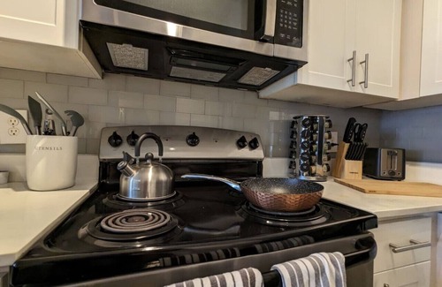 Nassau Bay Apartment | The Green Room 2.0 - 1BD/1BA near NASA JSC