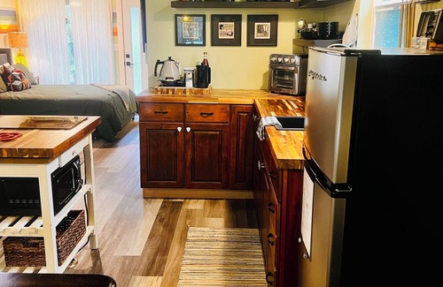 Walnut Springs House | THE GREENROOM, FUNKY music themed tiny home, walking distance to downtown!