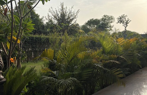 Udyog Vihar Villa | The Greenwood Farm And Lawn -Bijwasan