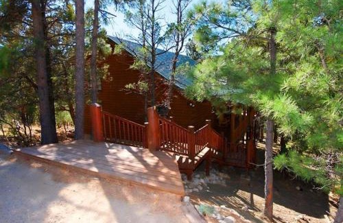 Alto House | The Grizz