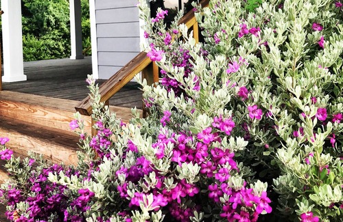 Oakland Other | The Guest House at Twin Oaks Ranch