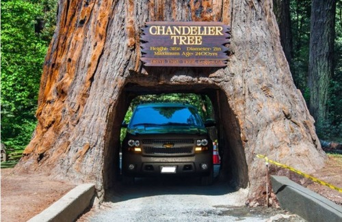 McKinleyville Apartment | The Gypsy Hideout