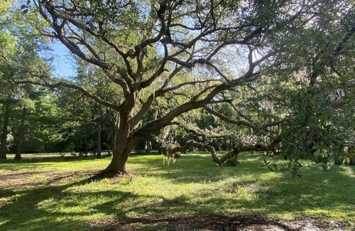 Slidell RV Rental | The Happy Camper!