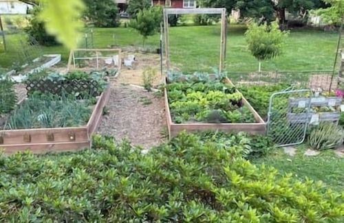 Burlington House | The Happy, Hippie Homestead 3BRM Sleeps up to 10