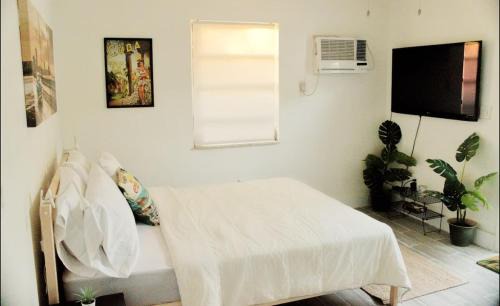 West Little Havana Apartment | The Havana Nights Guesthouse - Private Stay with Free Parking in the Heart of Miami