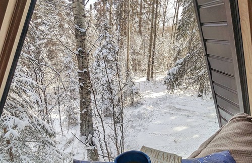 Division No. 11 Cabin | The Hawthorn A-frame Cabin