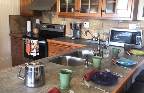 Ferndale House | ★The Heirloom Rose Studio SAVE UP TO 50% incl Washer & Dryer for LONGTERM STAYS★