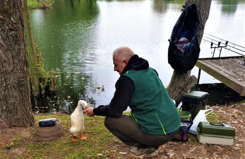 Beckingham Other | The Hideaway Pod