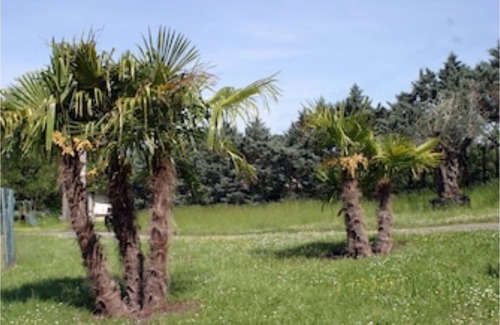 Frayssinet House | The Hill at the Chalets House T2, N4