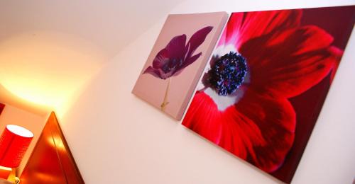 Harrow House | The Hindes Hotel