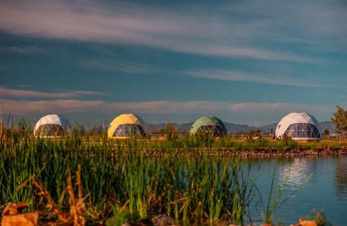 Willcox Other | The Hive