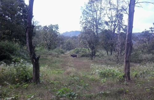Kaimane House | The home stay in nature's castle