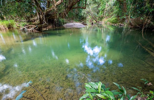 Friday Pocket Villa | The Homestead- Acreage & Private Swimming Hole