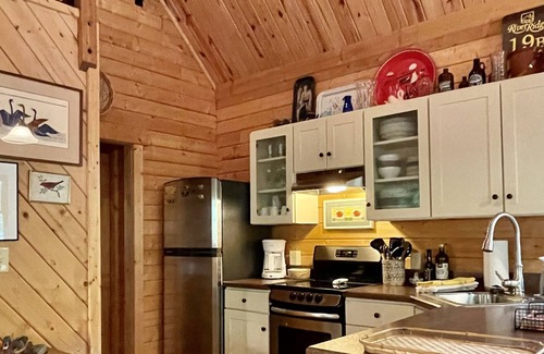 Great Cacapon Cabin | The Honey Pot! Cozy cabin with beautiful Cacapon River access