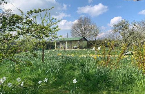 Stuppington House | The HoneyPot