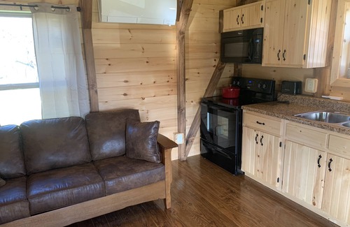 Black Mountain Cabin | The Hoot Owl - New Cabin in Black Mountain w/views & discount Biltmore tickets!