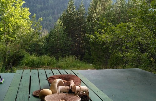 Zabljak House | The house in the forest - Durmitor beauty