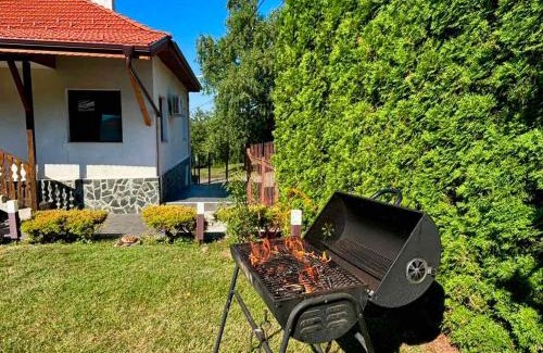 Berkovitsa House | The House of Petar Levski