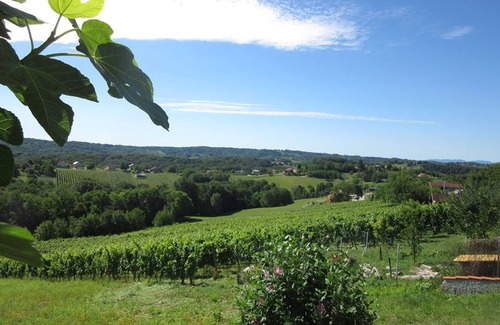 Grabrovnik House | The house with 3 bedrooms and a large terrace with a view of the wine hills