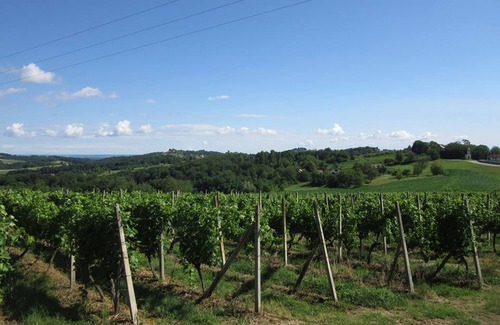 Grabrovnik House | The house with 3 bedrooms and a large terrace with a view of the wine hills