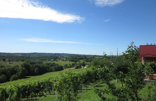 Grabrovnik House | The house with 3 bedrooms and a large terrace with a view of the wine hills
