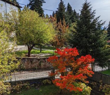 Elati Apartment | The House with the Hydrangeas
