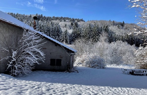 Tendon House | The Hut, in the middle of the woods, not far from the waterfalls