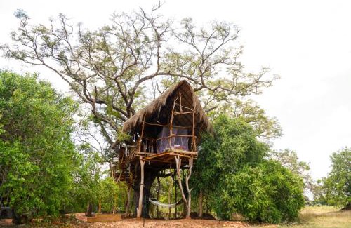 Karuwalagaswewa Cabin | The Ibis - Wilpattu