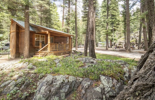 Bayfield Cabin | The Iris Cabin #1 Sum