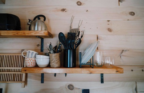 Knoxville Cabin | The Iris: Rural Secluded Nordic Tiny Home