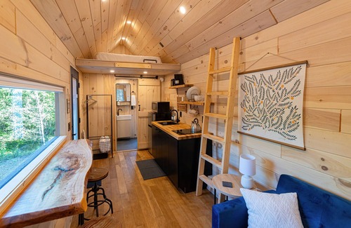 Knoxville Cabin | The Iris: Rural Secluded Nordic Tiny Home