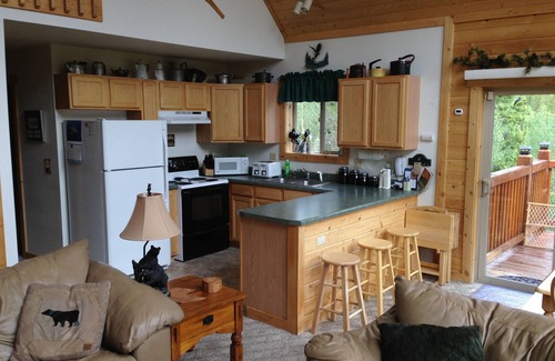 Alma Cabin | The Irish Rose - a Colorado Dream Vacation Spot - Secluded!