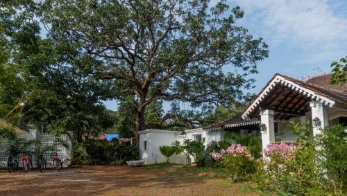 Chorao Villa | The Island Sanctuary Rock Pool Villa