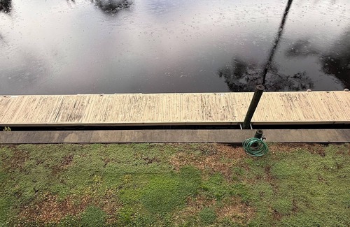 Suwannee Condo | The islander